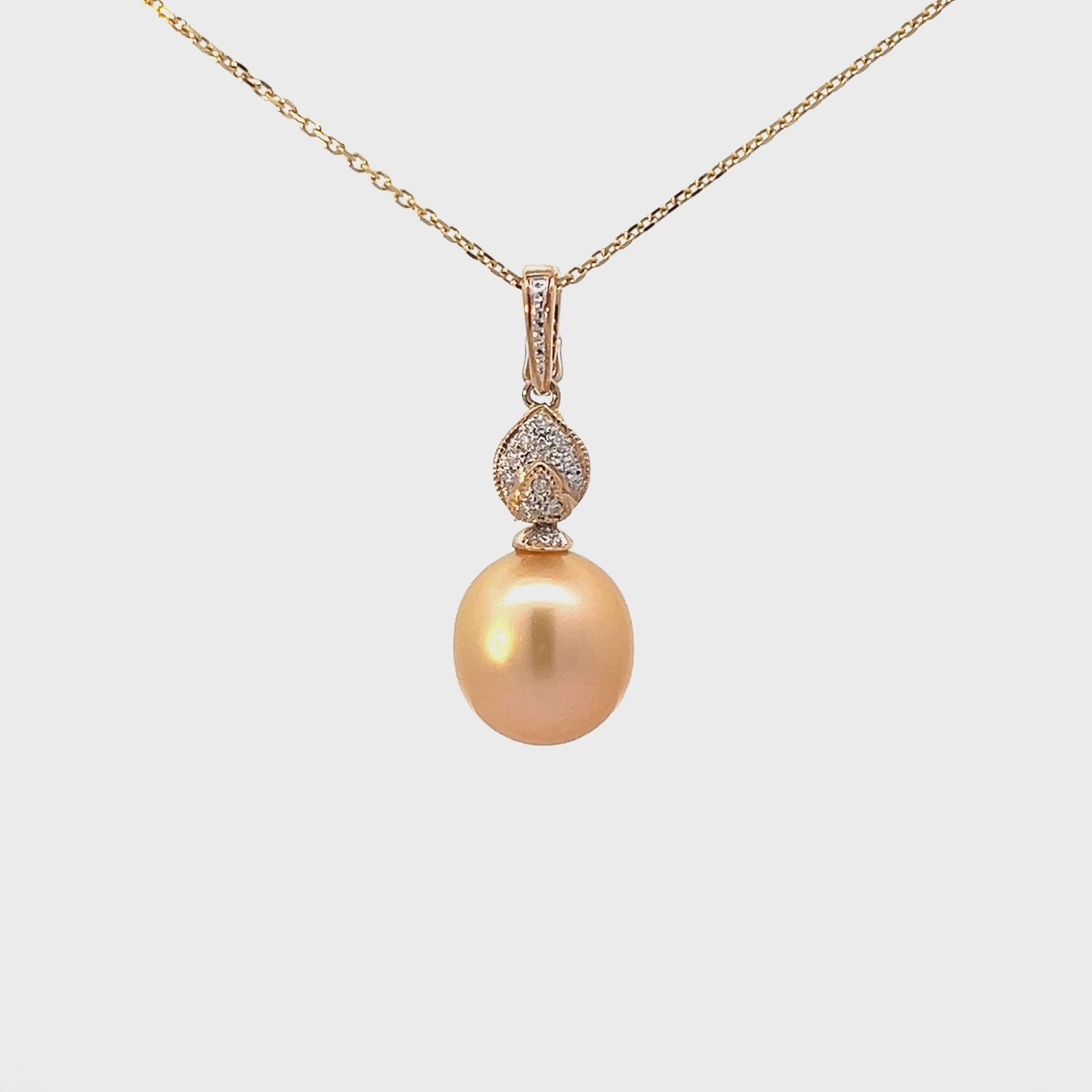 C1043:AC012__2024-02-26-17-39-44.mp4