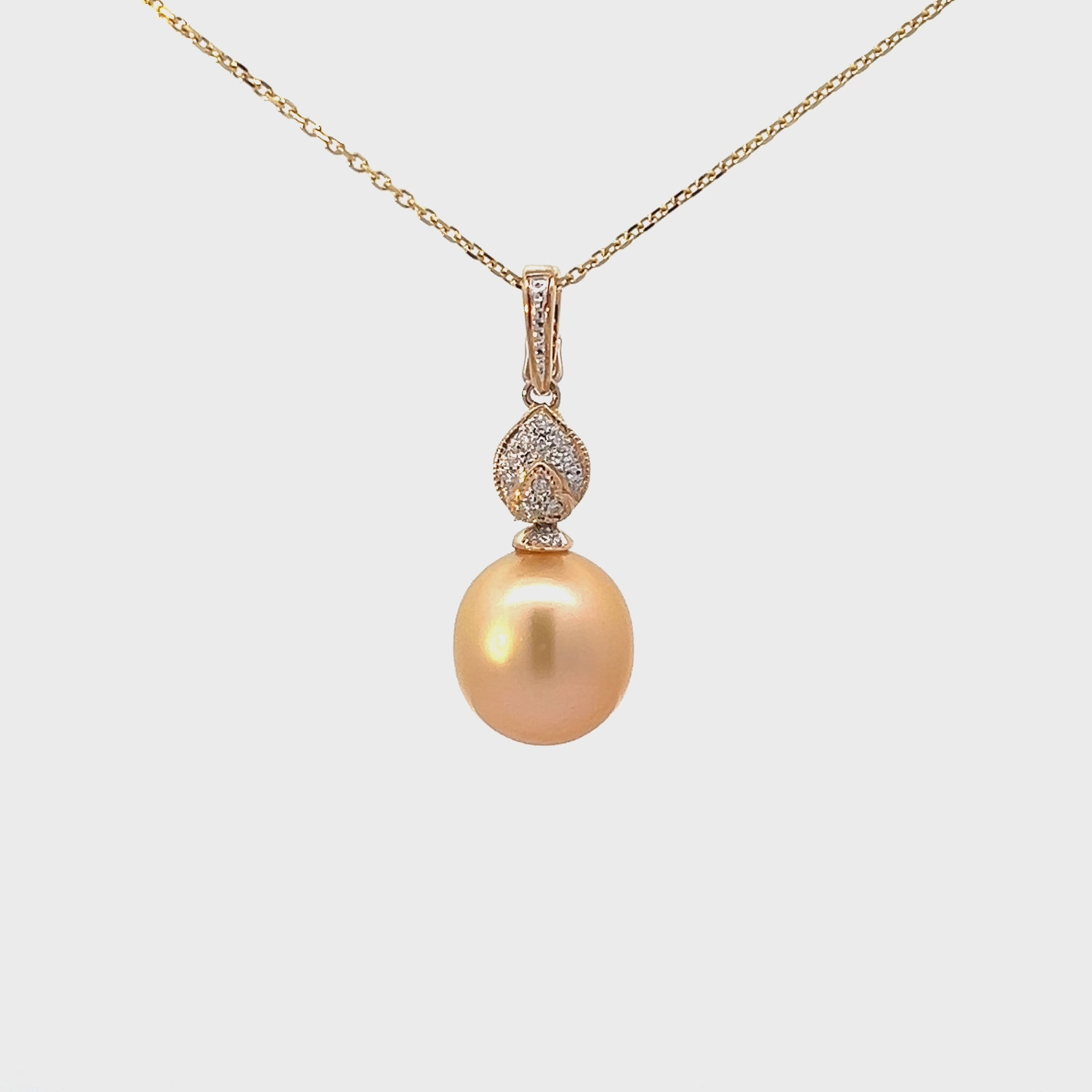 C1043:AC012__2024-02-26-17-39-44.mp4